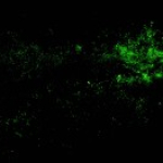 Olympia, Casino & Hüttengaudi